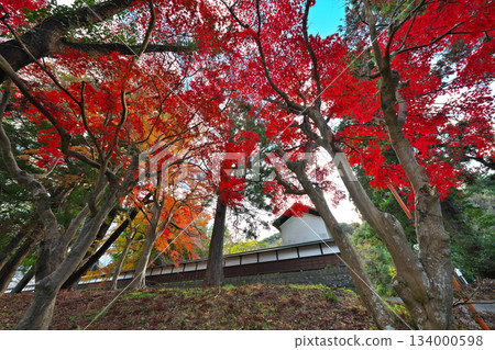 秋季妙福景寺 134000598