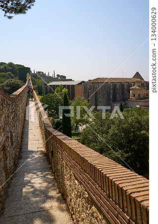 Roman wall of Girona surrounded by trees Roman wall of Girona surrounded by trees 134000629