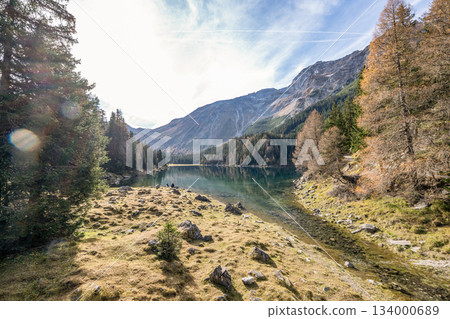 Summer time at romantic forest Lake Obernberg scenic mountain lakes landscape in Austria, Tyrol Summer time at romantic forest Lake Obernberg scenic mountain lakes landscape in Austria, Tyrol 134000689