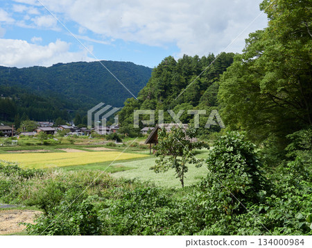 Autumn scenery of the Gassho-style houses at the World Heritage site of Shirakawa-go 134000984