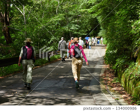 秋季，遊客們沿著世界遺產白川鄉的山路漫步。 134000986