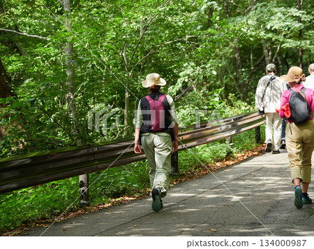 秋季,遊客們沿著世界遺產白川鄉的山路漫步。 秋季,遊客們沿著世界遺產白川鄉的山路漫步。 134000987