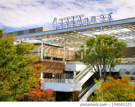 Nagareyama Otakanomori S.C Chiba Prefecture 134001125