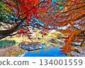 秋天Rakujuen 134001559