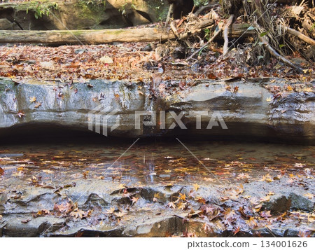 梅瀨溪谷的深秋 梅瀨溪谷的深秋 134001626