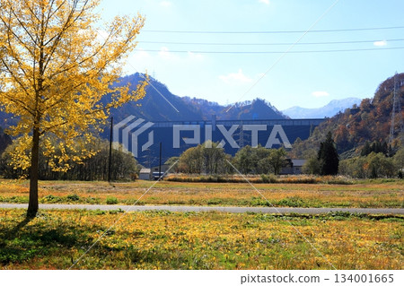 Tagokura Dam in autumn / Tadami Town, Minamiaizu District, Fukushima Prefecture Tagokura Dam in autumn / Tadami Town, Minamiaizu District, Fukushima Prefecture 134001665