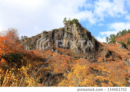 從田宮免費休息區欣賞秋葉 134001702