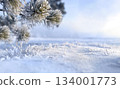 Frost-covered pine branches above snowy ground. Winter outdoor nature scene. Winter season and cold weather concept. Macro shot with copy space. Background for Christmas and New Year, winter holidays. 134001773