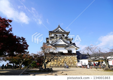 Shiga, Hikone, Hikone Castle, Honmaru and Tenshu (from the southeast) (late autumn) 134001863