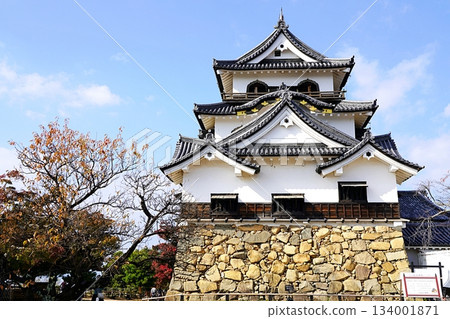 滋賀縣彥根市彥根城秋葉與天守閣（東南方向）（深秋） 134001871