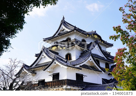 滋賀縣彥根市彥根城，秋葉和城樓（從東北方向略微放大）（深秋） 134001873