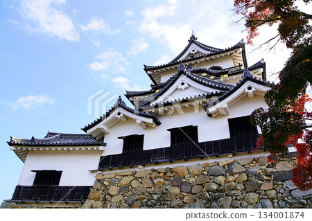 滋賀縣彥根市彥根城，城樓及附屬砲塔（西面，深秋） 134001874