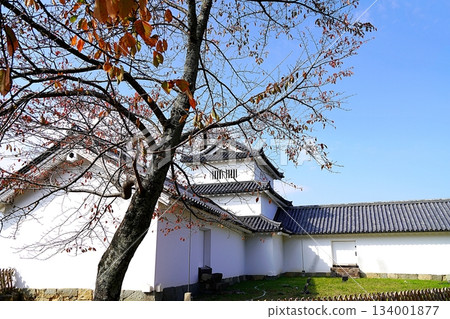 滋賀縣彥根市彥根城西之丸三重塔（深秋） 134001877