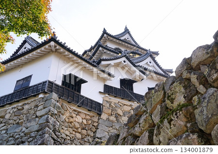 Shiga, Hikone, Hikone Castle, castle tower and attached turret (from the north) (late autumn) 134001879