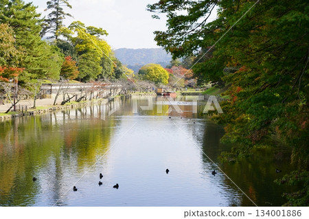 從黑門橋(西北方向)看到的滋賀縣彥根市彥根城、內護城河和船屋碼頭(深秋) 從黑門橋(西北方向)看到的滋賀縣彥根市彥根城、內護城河和船屋碼頭(深秋) 134001886