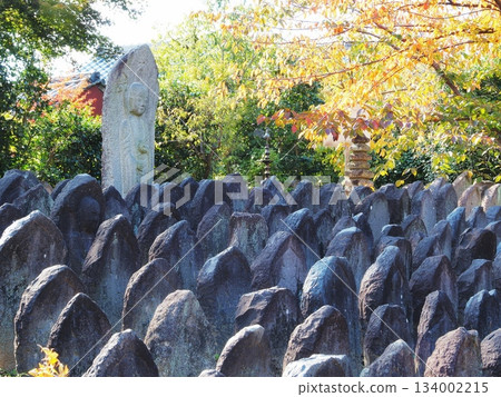 奈良縣元悟寺石佛，11月 134002215