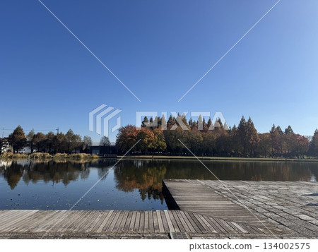 Autumn leaves Autumn leaves and parks Autumn leaves Autumn leaves and parks 134002575
