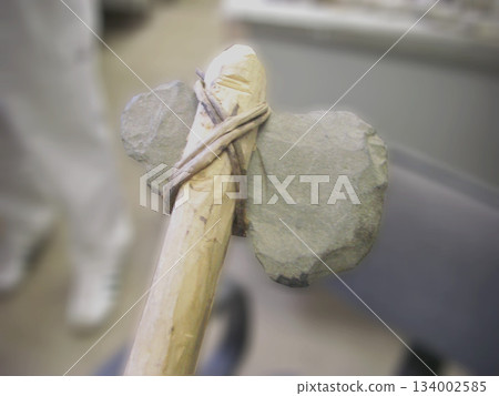 綁在樹枝上的石斧特寫 [舊石器時代] 134002585