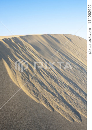 Beautiful scenery of Tottori sand dune 134002602