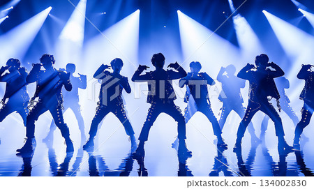 Silhouettes during performance 134002830