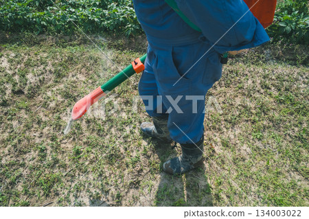 gents, male, males 134003022