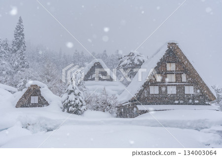 Shirakawago冬季場景 134003064