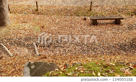 Ueda Castle's turret and autumn leaves in autumn colors Ueda Castle's turret and autumn leaves in autumn colors 134003188