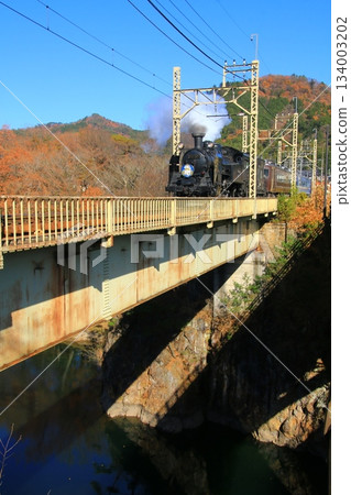 Crossing the Kinugawa Bridge in late autumn... [SL Taiju] No. 2 C11207 134003202