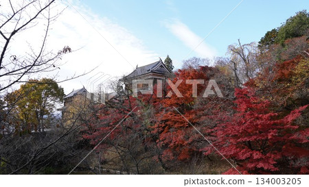 Ueda Castle's turret and autumn leaves in autumn colors Ueda Castle's turret and autumn leaves in autumn colors 134003205