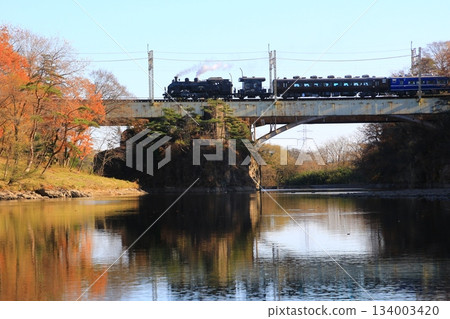 深秋時節，走過鬼怒川大橋…[SL 大樹 No. 5] C11207 134003420