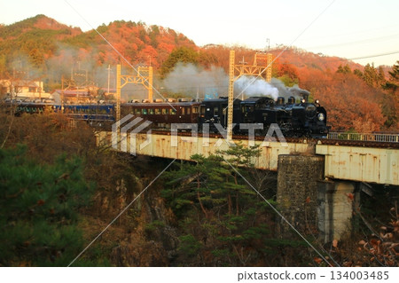 Late autumn evening glow... Crossing the Kinugawa Bridge [SL Taiju No. 6] C11207 134003485