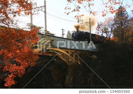 穿過秋末清晨陽光照耀下的鬼怒川大橋…[SL Taiju No. 1] C11207 134003560