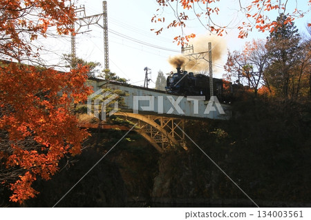穿過秋末清晨陽光照耀下的鬼怒川大橋…[SL Taiju No. 1] C11207 134003561