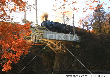 Crossing the Kinugawa Bridge illuminated by the late autumn morning sun... [SL Taiju No. 1] C11207 134003575