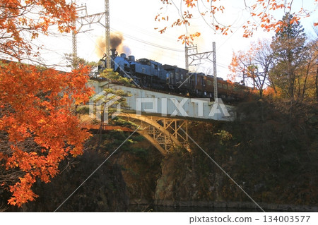 穿過秋末清晨陽光照耀下的鬼怒川大橋…[SL Taiju No. 1] C11207 134003577