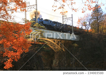 穿過秋末清晨陽光照耀下的鬼怒川大橋…[SL Taiju No. 1] C11207 134003580