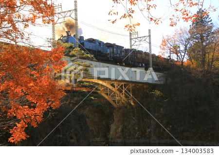 Crossing the Kinugawa Bridge illuminated by the late autumn morning sun... [SL Taiju No. 1] C11207 134003583