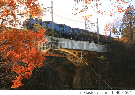 Crossing the Kinugawa Bridge illuminated by the late autumn morning sun... [SL Taiju No. 1] C11207 134003594