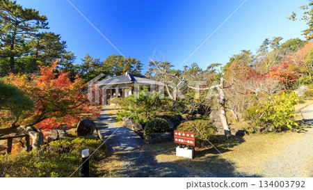 Autumn leaves at Shiosai Park in Hayama Autumn leaves at Shiosai Park in Hayama 134003792
