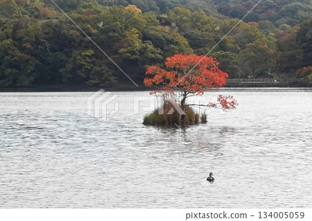 風吹拂著湖面，湖水開始變色 134005059