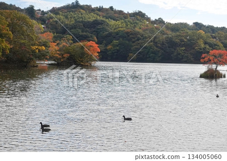 The wind as the lake begins to change color 134005060