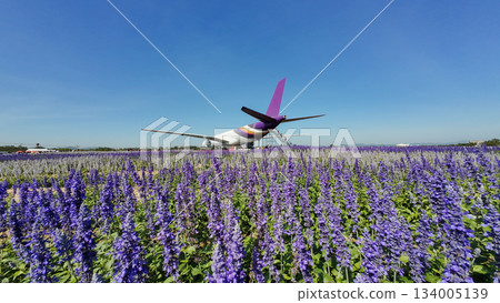 Aerospace Industry, Air Vehicle, Airplane, Analog, Antique Aerospace Industry, Air Vehicle, Airplane, Analog, Antique 134005139