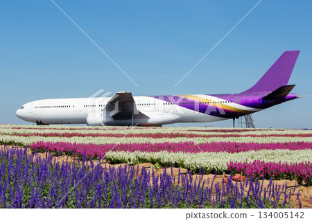 Aerospace Industry, Air Vehicle, Airplane, Analog, Antique Aerospace Industry, Air Vehicle, Airplane, Analog, Antique 134005142