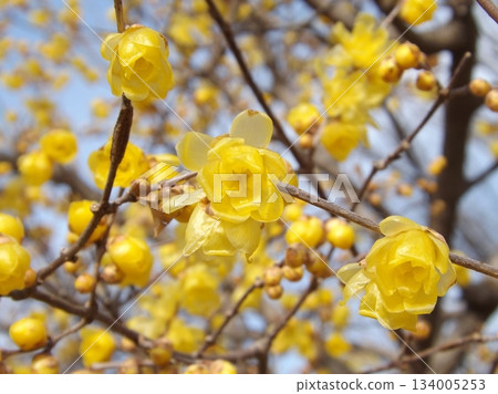 慌張 慌張 134005253