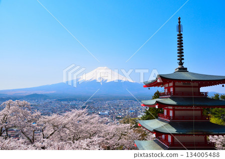 Spring Cherry Blossoms Arakurayama Sengen Park 134005488