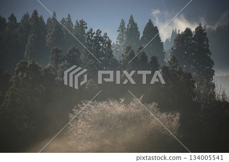 透過山間縫隙,可以看到蔚藍的天空,以及針葉林間升騰的薄霧。 透過山間縫隙,可以看到蔚藍的天空,以及針葉林間升騰的薄霧。 134005541