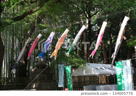 Colorful Japanese tradition of carp streamers dancing in the shade of green bamboo and large trees 134005778