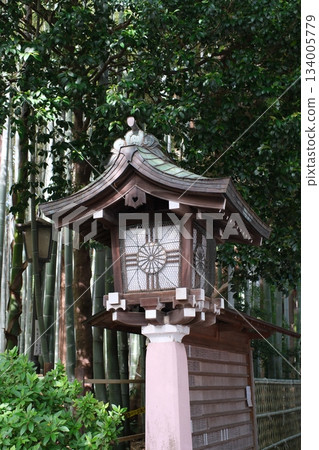 A traditional Japanese wooden lantern (night light) nestled in the mysterious bamboo forest and deep greenery. 134005779