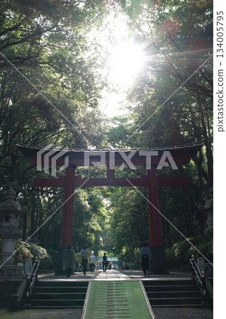 雄偉的鳥居和斑駁的陽光引領人們深入神社。 雄偉的鳥居和斑駁的陽光引領人們深入神社。 134005795