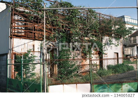 Vibrant greenery entangled in dilapidated buildings and rusted steel beams Vibrant greenery entangled in dilapidated buildings and rusted steel beams 134005827